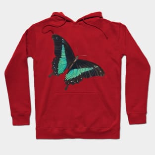 Black and Blue Swallowtail Butterfly Hoodie